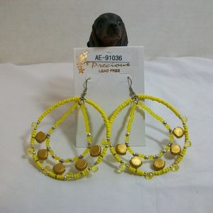 🌞Fashion Jewelry Hoop Earrings